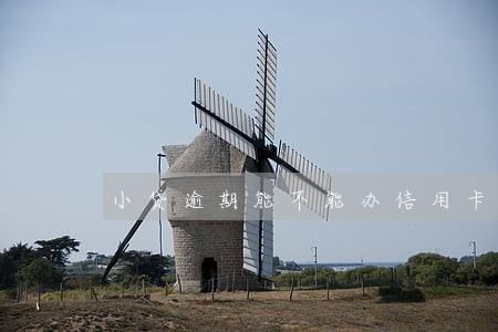 小贷逾期能不能办信用卡