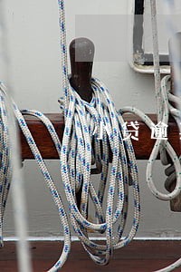 小贷逾期能否只还本金 小贷逾期能否只还本金