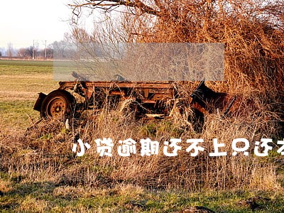 小贷逾期还不上只还本金 小贷逾期还不上只还本金
