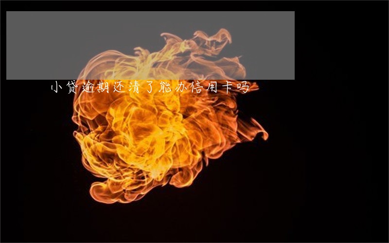 小贷逾期还清了能办信用卡吗 小贷逾期还清了能办信用卡吗