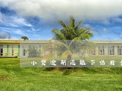 小贷逾期还能下信用卡 小贷逾期还能下信用卡