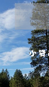 小贷逾期还能借贷款 小贷逾期还能借贷款