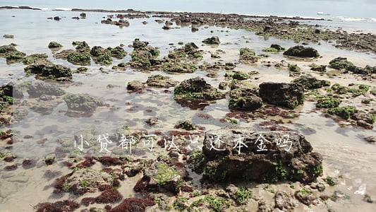 小贷都可以只还本金吗 小贷都可以只还本金吗