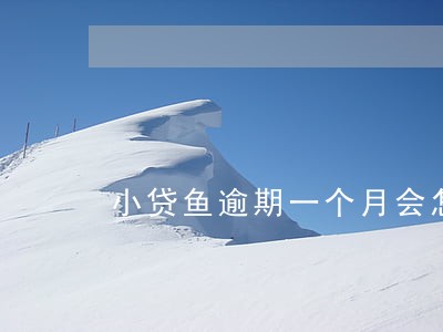 小贷鱼逾期一个月会怎么样6 小贷鱼逾期一个月会怎么样6