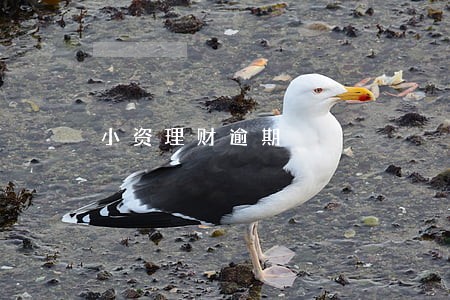 小资理财逾期 小资理财逾期