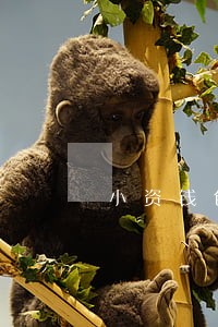 小资钱包9月28日逾期 小资钱包9月28日逾期