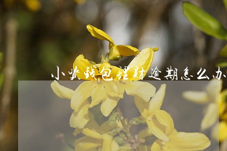 小资钱包理财逾期怎么办 小资钱包理财逾期怎么办