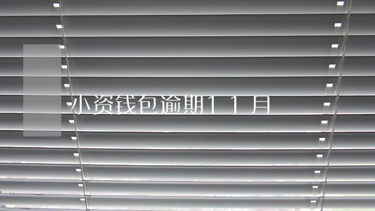 小资钱包逾期11月 小资钱包逾期11月