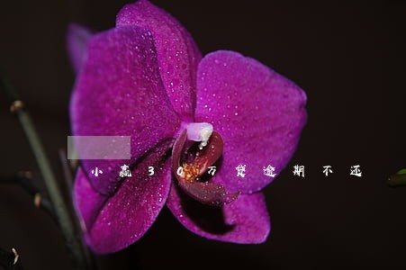 小赢30万贷逾期不还 小赢30万贷逾期不还