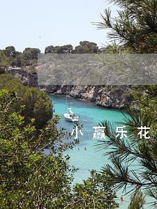 小赢乐花借款逾期2天 小赢乐花借款逾期2天