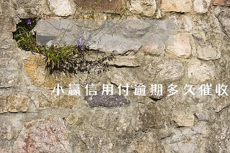 小赢信用付逾期多久催收 小赢信用付逾期多久催收