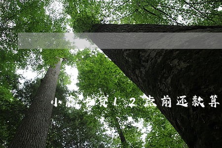 小赢卡贷12点前还款算逾期吗 小赢卡贷12点前还款算逾期吗
