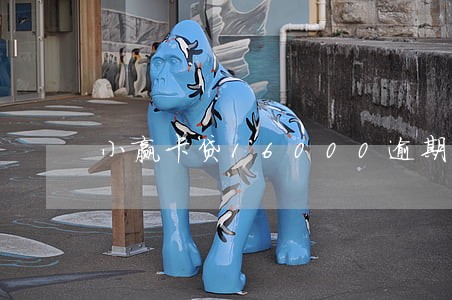 小赢卡贷16000逾期一年 小赢卡贷16000逾期一年