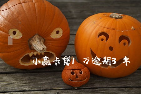 小赢卡贷1万逾期3年