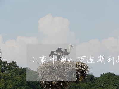 小赢卡贷4万逾期利息是多少 小赢卡贷4万逾期利息是多少