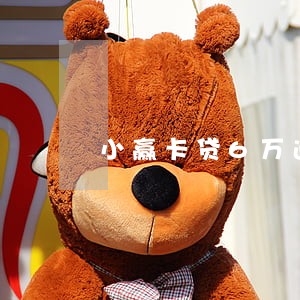 小赢卡贷6万逾期