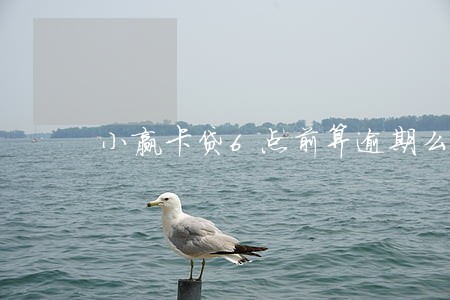小赢卡贷6点前算逾期么 小赢卡贷6点前算逾期么