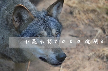 小赢卡贷7000逾期3年 小赢卡贷7000逾期3年