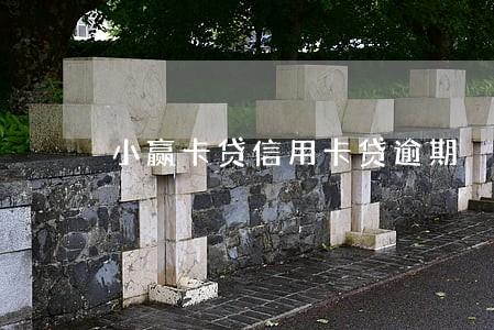 小赢卡贷信用卡贷逾期 小赢卡贷信用卡贷逾期