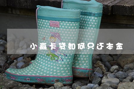 小赢卡贷如何只还本金