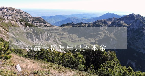 小赢卡贷怎样只还本金 小赢卡贷怎样只还本金