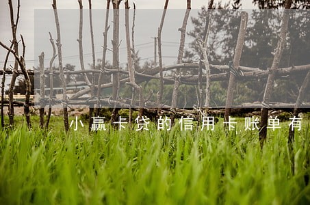 小赢卡贷的信用卡账单有逾期