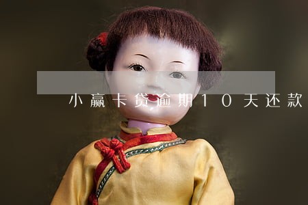 小赢卡贷逾期10天还款