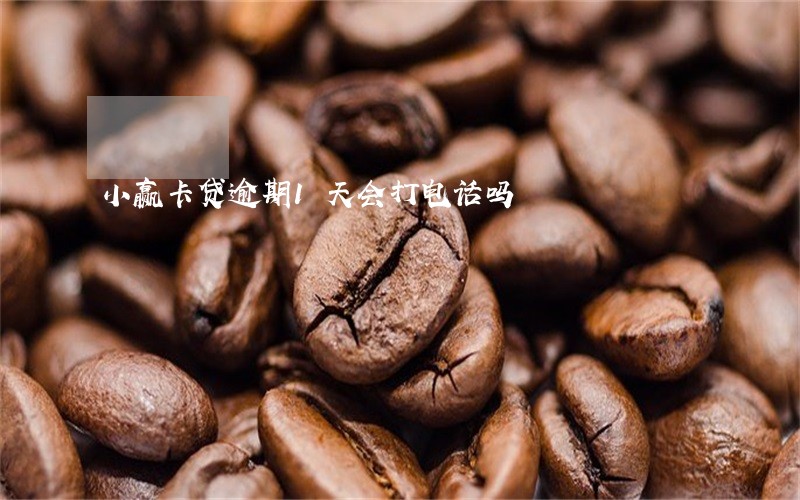 小赢卡贷逾期1天会打电话吗 小赢卡贷逾期1天会打电话吗