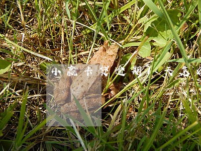 小赢卡贷逾期1天怎么办 小赢卡贷逾期1天怎么办