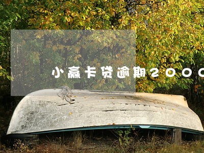 小赢卡贷逾期20000 小赢卡贷逾期20000