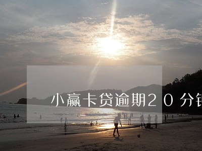 小赢卡贷逾期20分钟就还了 小赢卡贷逾期20分钟就还了