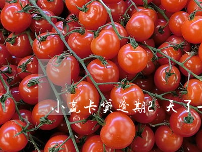 小赢卡贷逾期2天了一个电话没有 小赢卡贷逾期2天了一个电话没有