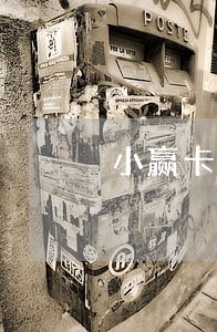 小赢卡贷逾期2年怎么办 小赢卡贷逾期2年怎么办