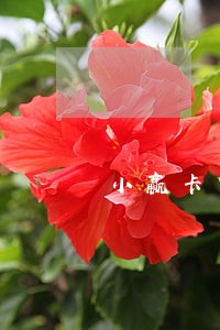 小赢卡贷逾期30天 小赢卡贷逾期30天