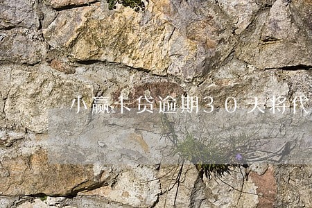 小赢卡贷逾期30天将代偿 小赢卡贷逾期30天将代偿