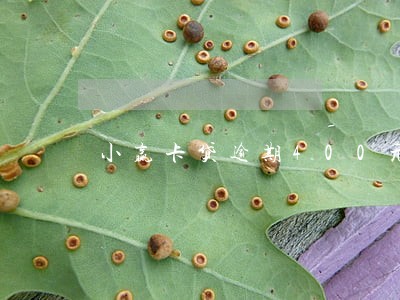 小赢卡贷逾期400元