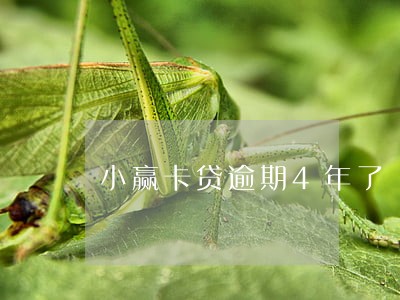小赢卡贷逾期4年了