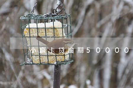 小赢卡贷逾期50000 小赢卡贷逾期50000