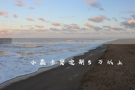 小赢卡贷逾期5万以上 小赢卡贷逾期5万以上