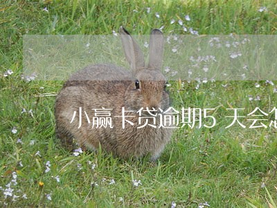 小赢卡贷逾期5天会怎么样 小赢卡贷逾期5天会怎么样