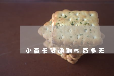 小赢卡贷逾期5百多天