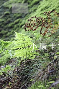 小赢卡贷逾期60000多 小赢卡贷逾期60000多