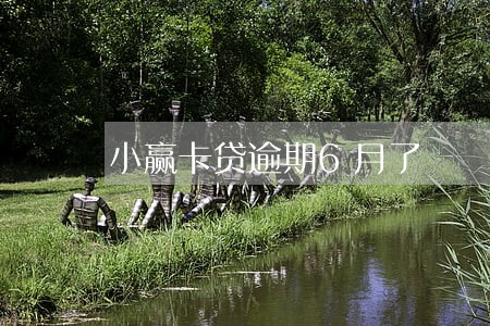 小赢卡贷逾期6月了 小赢卡贷逾期6月了