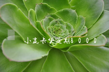 小赢卡贷逾期8000 小赢卡贷逾期8000
