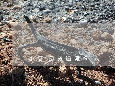 小赢卡贷逾期9天 小赢卡贷逾期9天