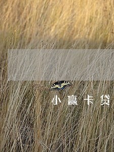 小赢卡贷逾期两年7000块