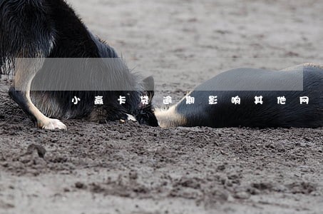 小赢卡贷逾期影响其他网贷 小赢卡贷逾期影响其他网贷