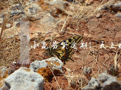 小赢易贷逾期1天上征信吗 小赢易贷逾期1天上征信吗