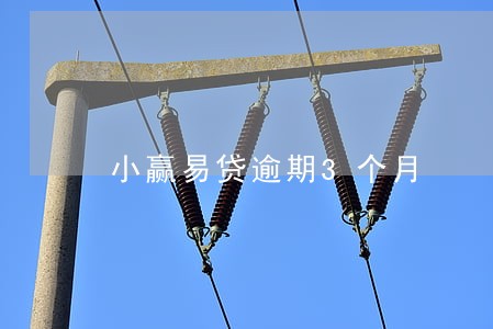 小赢易贷逾期3个月