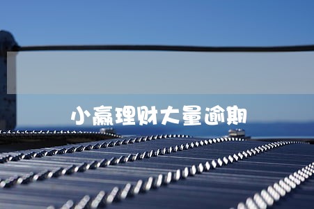 小赢理财大量逾期 小赢理财大量逾期
